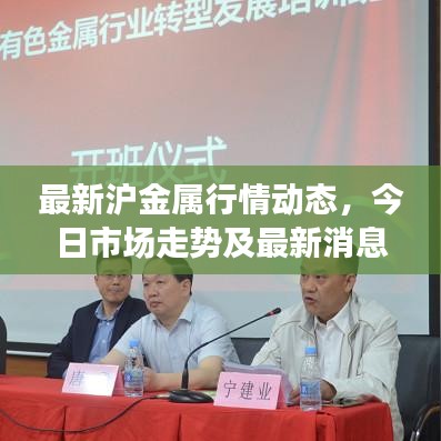 最新沪金属行情动态，今日市场走势及最新消息解读