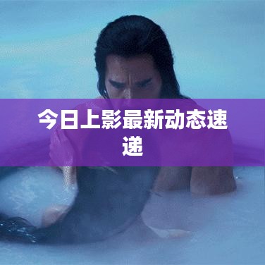 今日上影最新动态速递