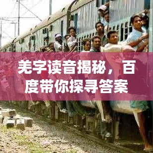 羌字读音揭秘，百度带你探寻答案之旅