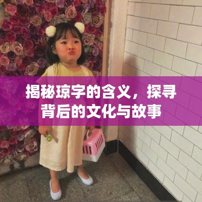 揭秘琼字的含义，探寻背后的文化与故事