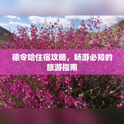 德令哈住宿攻略，畅游必知的旅游指南