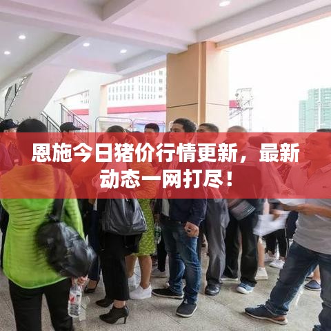 恩施今日猪价行情更新，最新动态一网打尽！