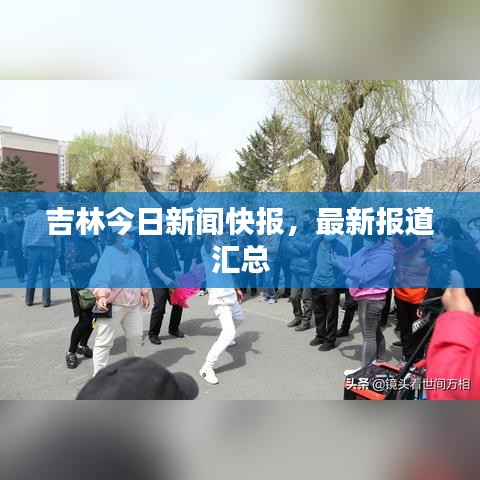 吉林今日新闻快报，最新报道汇总
