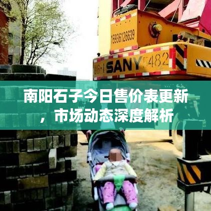南阳石子今日售价表更新，市场动态深度解析