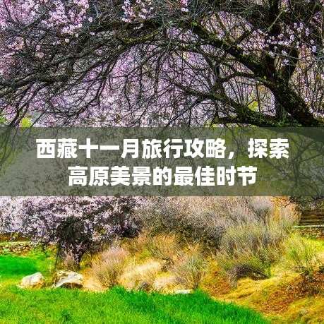 西藏十一月旅行攻略，探索高原美景的最佳时节