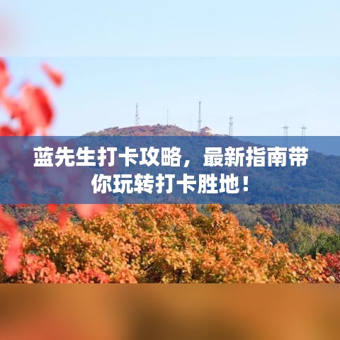 蓝先生打卡攻略，最新指南带你玩转打卡胜地！
