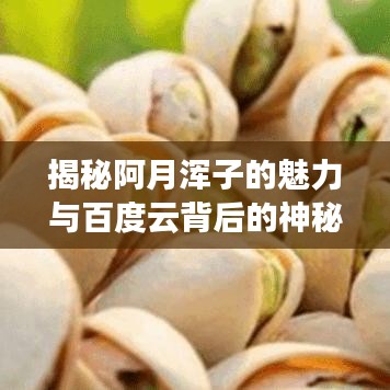 揭秘阿月浑子的魅力与百度云背后的神秘面纱