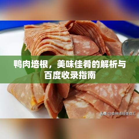 鸭肉培根，美味佳肴的解析与百度收录指南
