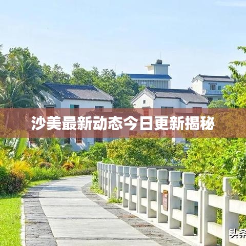 沙美最新动态今日更新揭秘