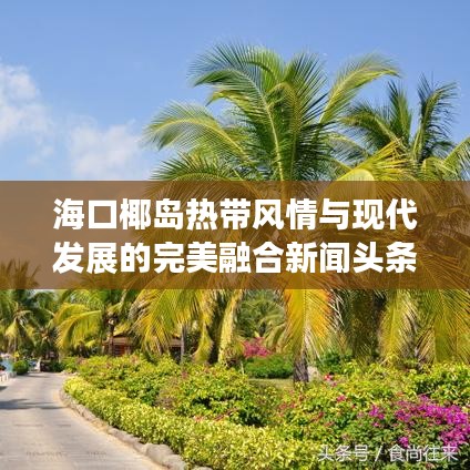 海口椰岛热带风情与现代发展的完美融合新闻头条