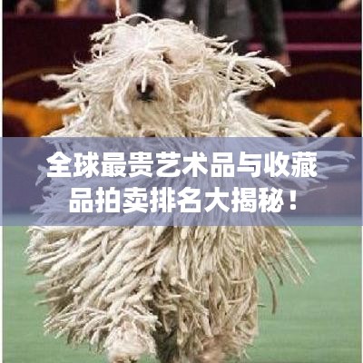 全球最贵艺术品与收藏品拍卖排名大揭秘！
