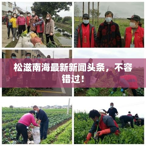 松滋南海最新新闻头条，不容错过！