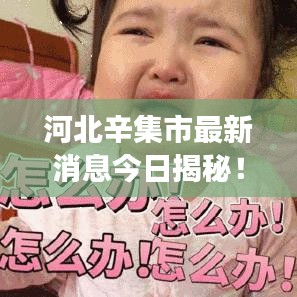 河北辛集市最新消息今日揭秘！重磅更新不容错过