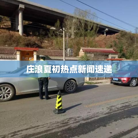 庄浪夏初热点新闻速递