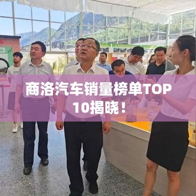 商洛汽车销量榜单TOP10揭晓！
