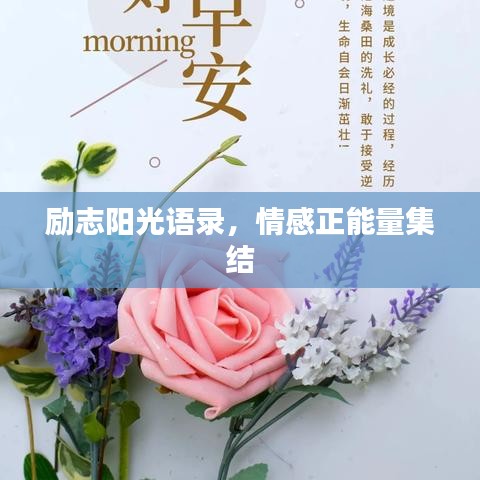 励志阳光语录，情感正能量集结