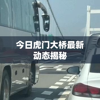 今日虎门大桥最新动态揭秘