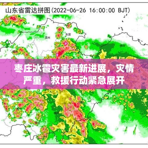 枣庄冰雹灾害最新进展，灾情严重，救援行动紧急展开