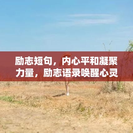 老死不相往来 第2页