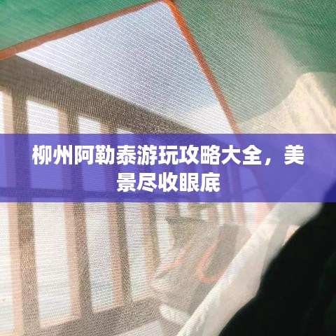 柳州阿勒泰游玩攻略大全，美景尽收眼底