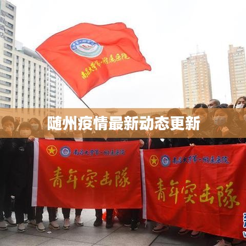 随州疫情最新动态更新