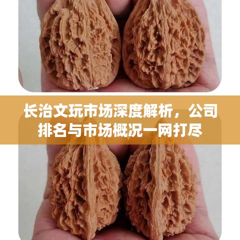 长治文玩市场深度解析，公司排名与市场概况一网打尽