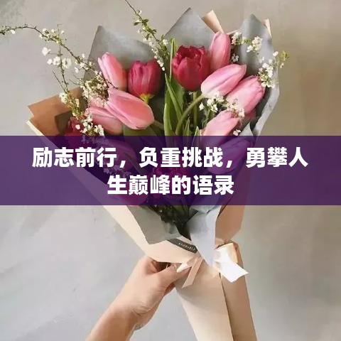 励志前行，负重挑战，勇攀人生巅峰的语录