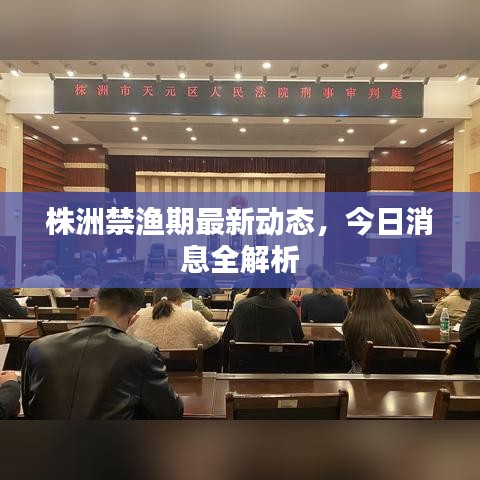 株洲禁渔期最新动态，今日消息全解析