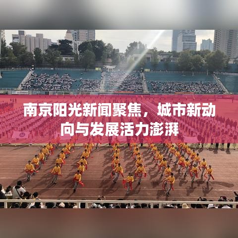 南京阳光新闻聚焦，城市新动向与发展活力澎湃