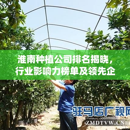 淮南种植公司排名揭晓，行业影响力榜单及领先企业揭秘