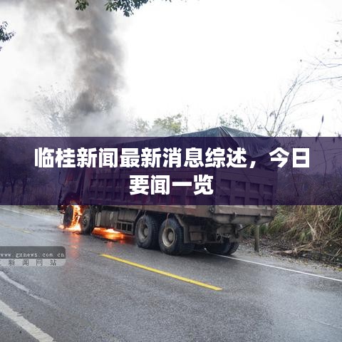 临桂新闻最新消息综述，今日要闻一览