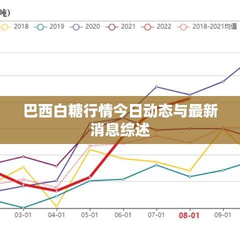 巴西白糖行情今日动态与最新消息综述