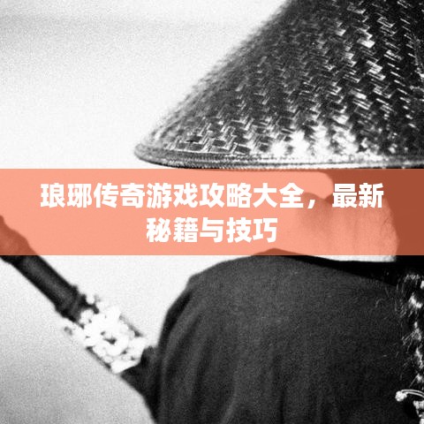 琅琊传奇游戏攻略大全，最新秘籍与技巧