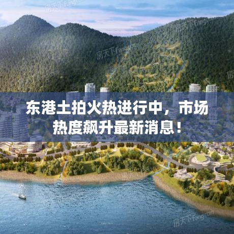 东港土拍火热进行中，市场热度飙升最新消息！