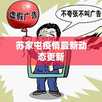 苏家屯疫情最新动态更新
