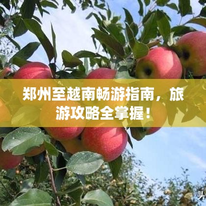 郑州至越南畅游指南，旅游攻略全掌握！