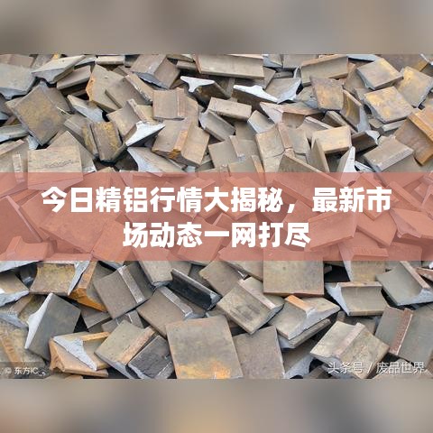 今日精铝行情大揭秘，最新市场动态一网打尽