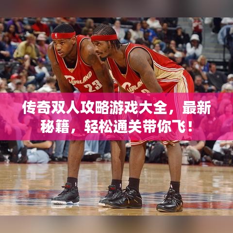 传奇双人攻略游戏大全，最新秘籍，轻松通关带你飞！