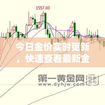 今日金价实时更新，快速查看最新金价行情