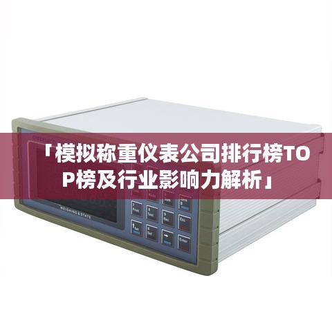 「模拟称重仪表公司排行榜TOP榜及行业影响力解析」