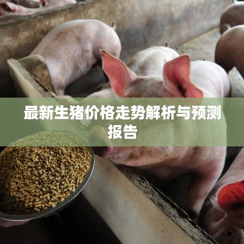 最新生猪价格走势解析与预测报告