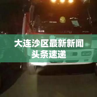 大连沙区最新新闻头条速递