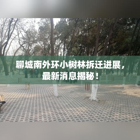 聊城南外环小树林拆迁进展，最新消息揭秘！