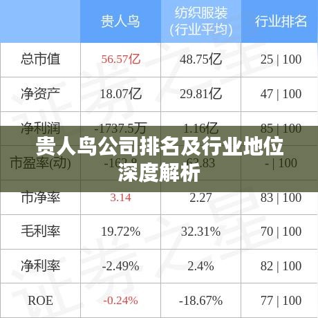 贵人鸟公司排名及行业地位深度解析