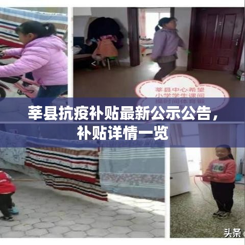 莘县抗疫补贴最新公示公告，补贴详情一览