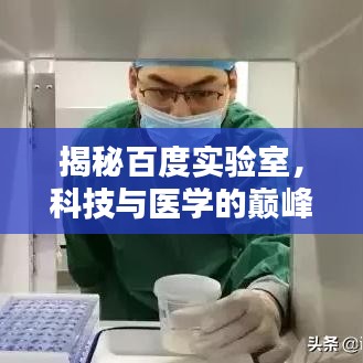 揭秘百度实验室，科技与医学的巅峰融合——取精实验揭秘