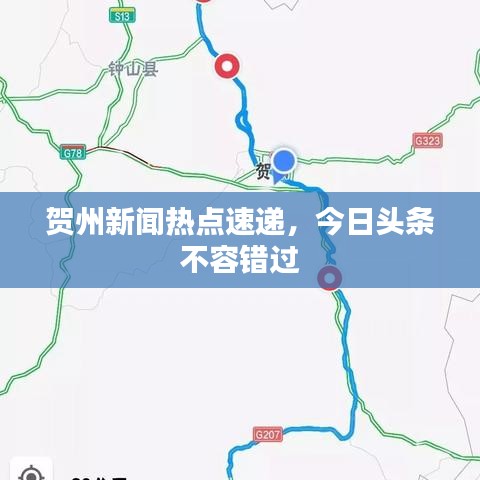 贺州新闻热点速递，今日头条不容错过
