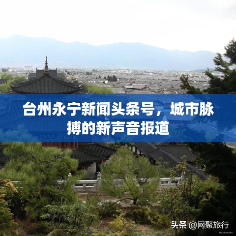 台州永宁新闻头条号，城市脉搏的新声音报道
