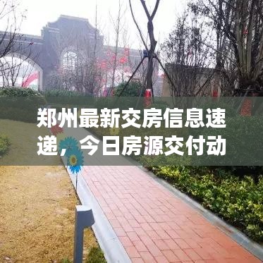 郑州最新交房信息速递，今日房源交付动态更新