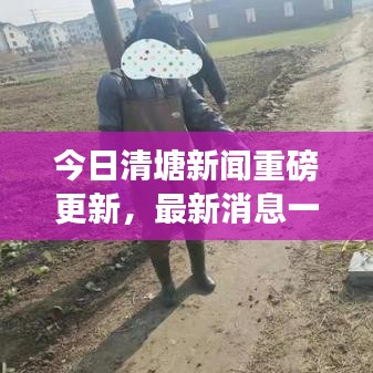今日清塘新闻重磅更新，最新消息一览无余